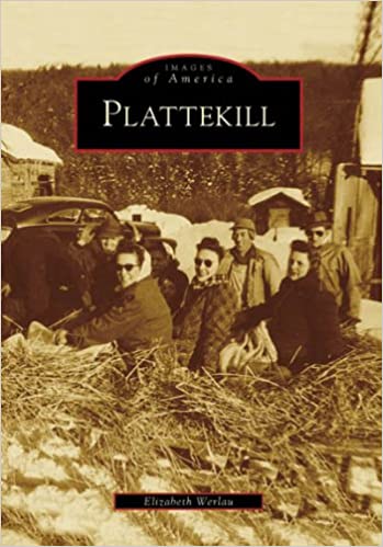plattekill
