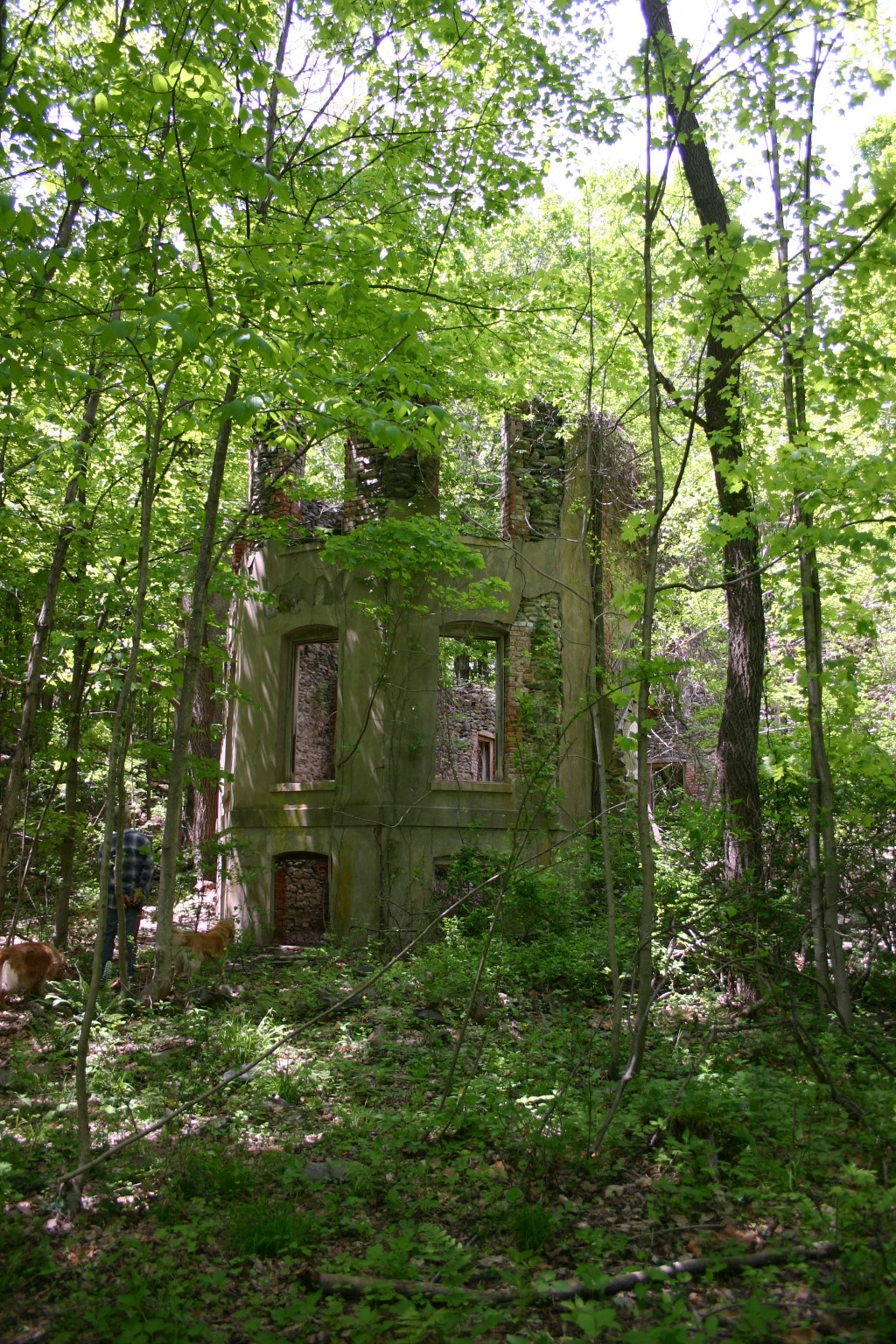 Hiking with History: The Franny Reese State&nbsp;Park